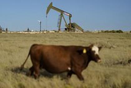 Миллионы нефтяных скважин не приносят денег и отравляют планету. Почему от них не спешат избавиться?