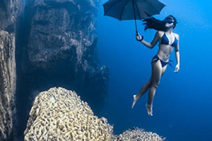 Владыки морей Фотографы показали необычайные красоты подводного мира