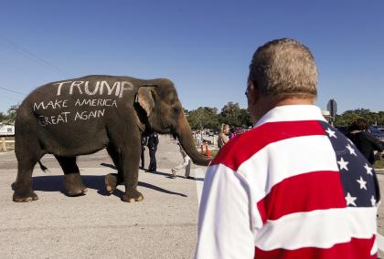 Сторонники кандидата в президенты США Дональда Трампа в 2015 году выставили слона перед митингом во Флориде
