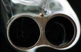 На Тернопольщине девочка подстрелила из ружья 7-летнюю сестру
