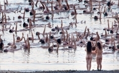 Тысячи голых людей спасали Мертвое море