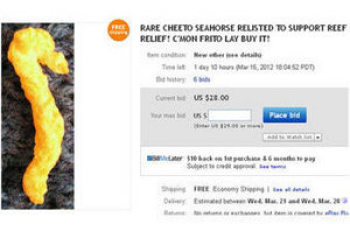 Американец выставил на аукцион кукурузный чипс в форме морского конька
