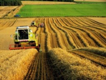 В Украине проведут сельскохозяйственную перепись
