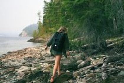 Что делать при укусе ядовитой змеи? Какие ядовитые змеи водятся в России и как оказать первую помощь при их укусе