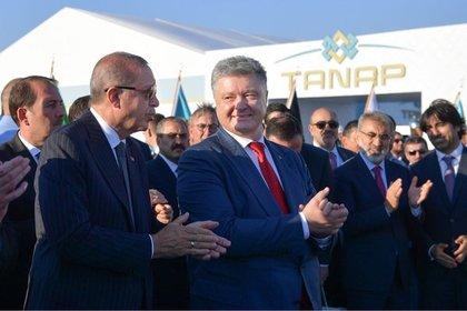 Реджеп Эрдоган и Петр Порошенко