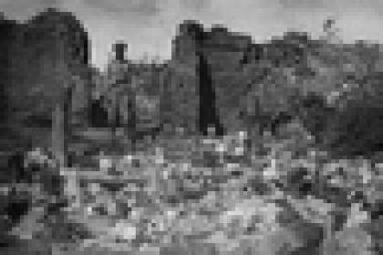 Armenian Genocide