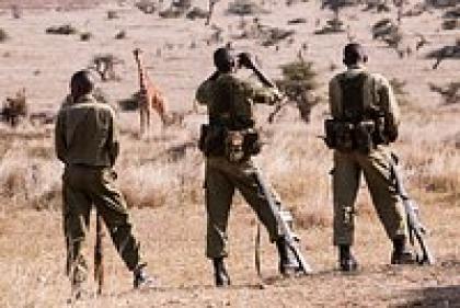Китайские и турецкие ЧВК пришли воевать в Африку. Смогут ли они занять место ЧВК «Вагнер»?