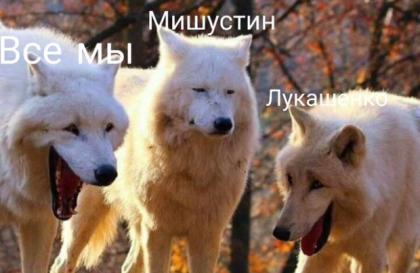 «Мишустин, когда включил послушать переданную Лукашенко пленку»