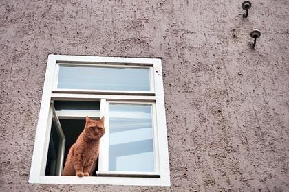 Архивное фото