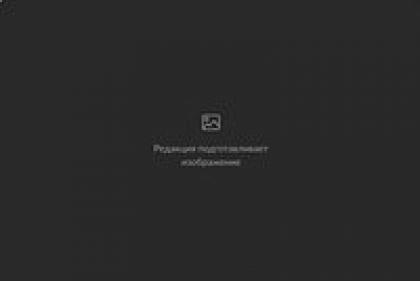 Владыки морей Фотографы показали необычайные красоты подводного мира