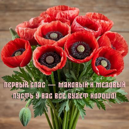 Картинка с поздравлением на Медовый Спас  