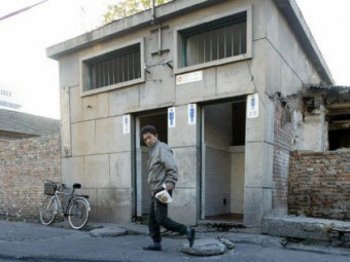 В китайских туалетах разрешили летать только двум мухам