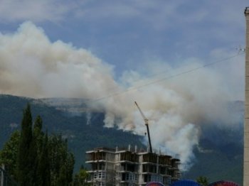 Ялтинский заповедник поджег гость из Львова