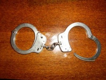 Журналист-политбеженец Анатолий Шарий начал расследование об авторе проекта создания финансовой полиции