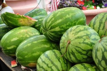 У американца украли 70-килограммовый арбуз стоимостью $ 1,5 тыс.