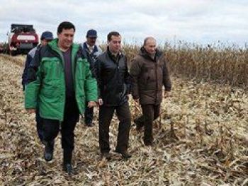 Ангелов: продовольственная безопасность страны